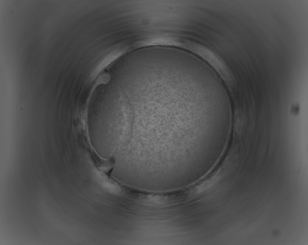 X0000093561241200710221416
