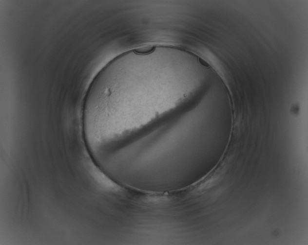 X0000093561243200710221416