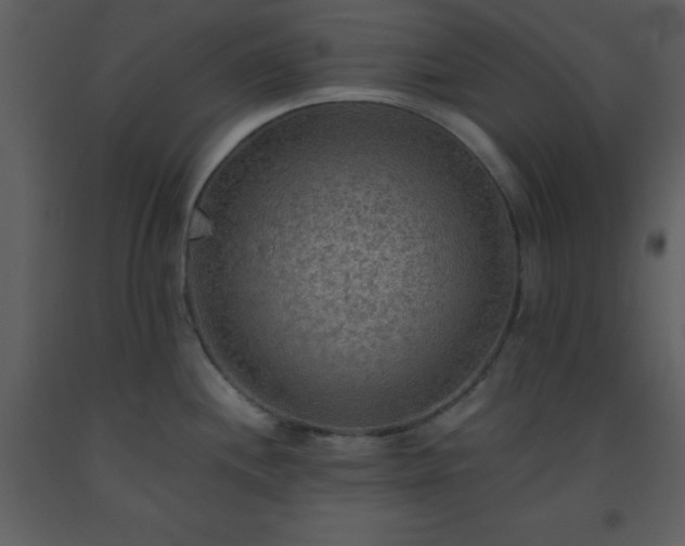 X0000093561244200710221416