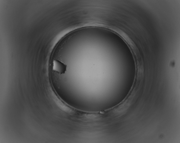 X0000093561246200710221416