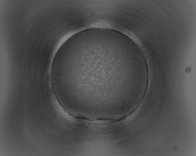 X0000093561248200710221416