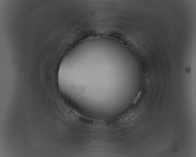 X0000093561249200710221415