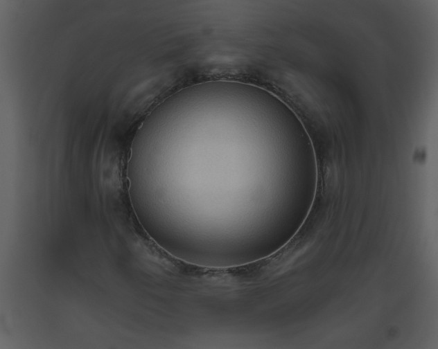 X0000093561250200710221415