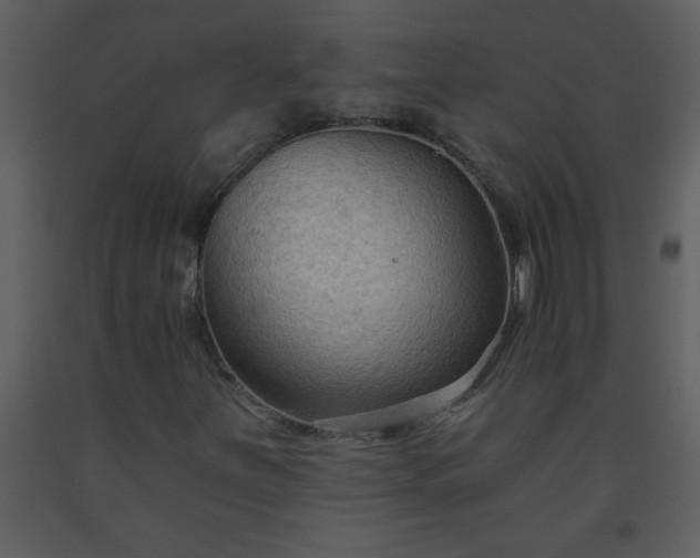 X0000093561251200710221415