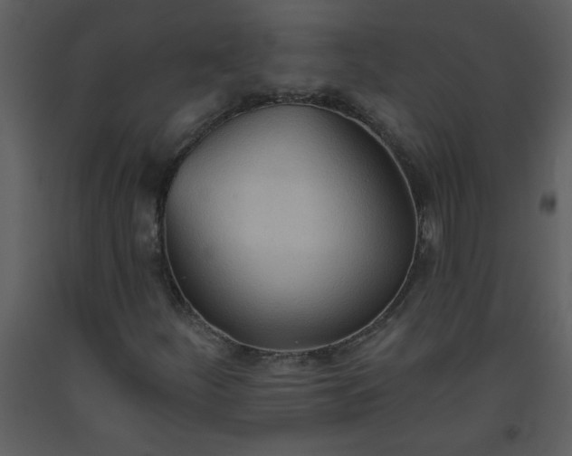 X0000093561252200710221415