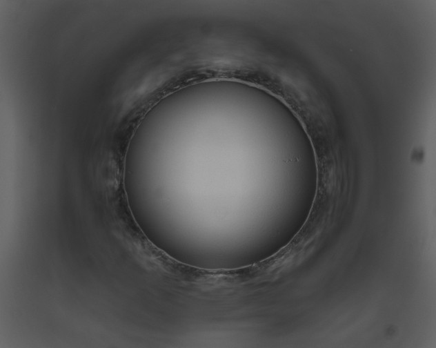 X0000093561253200710221415