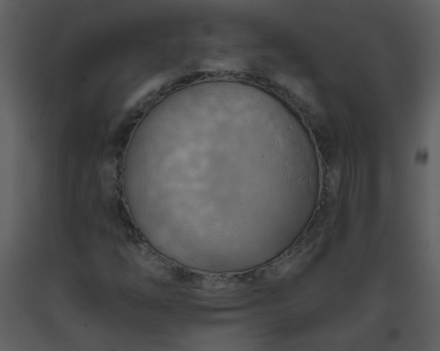 X0000093561254200710221415