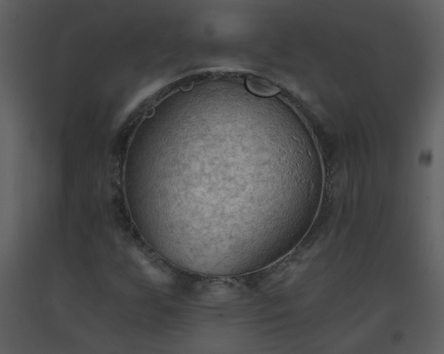 X0000093561255200710221415