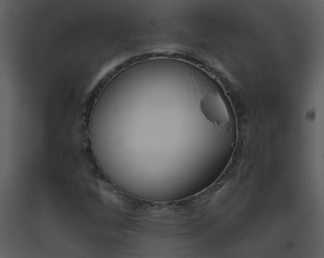 X0000093561256200710221415