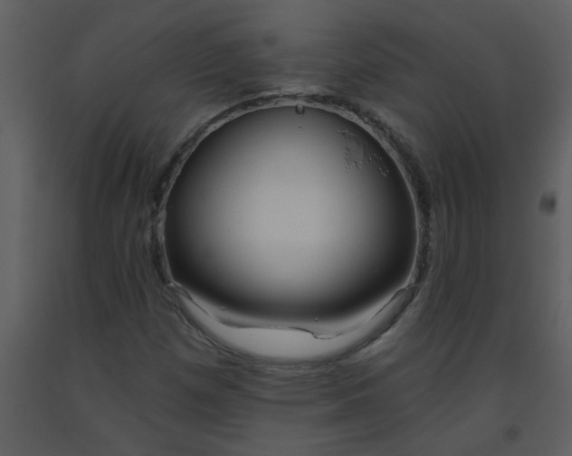 X0000093561257200710221415