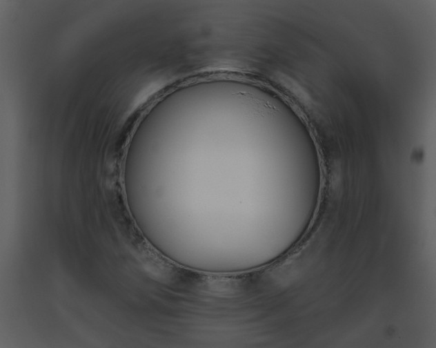 X0000093561258200710221415
