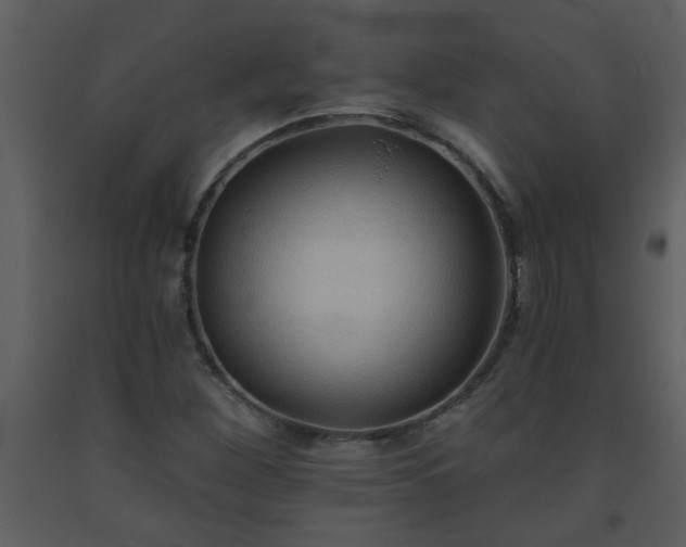 X0000093561260200710221415