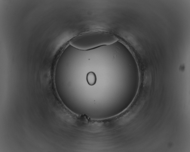 X0000093561261200710221415