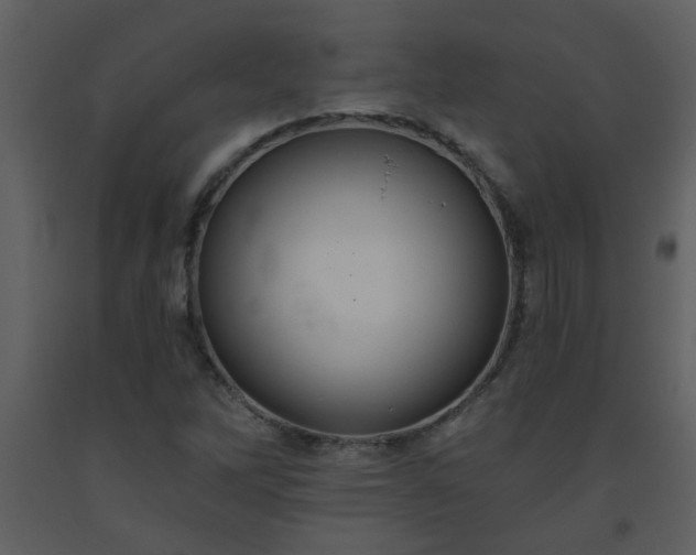 X0000093561262200710221415