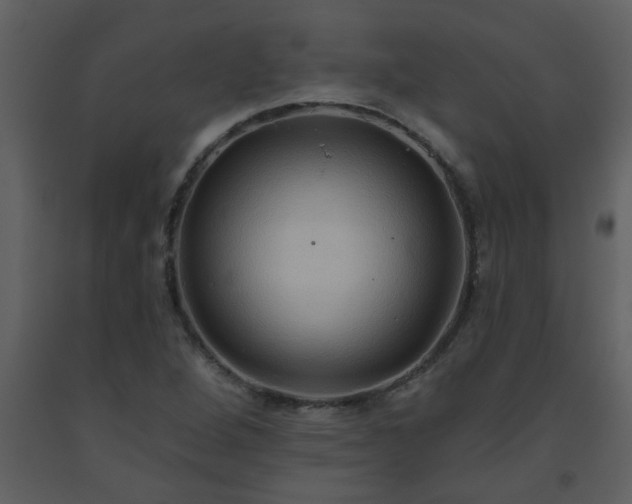 X0000093561264200710221415