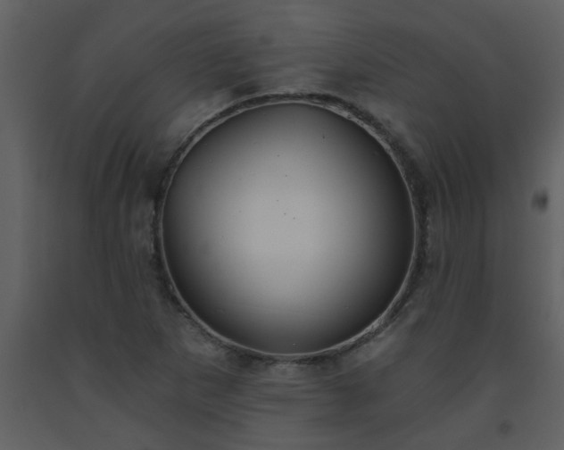 X0000093561265200710221415