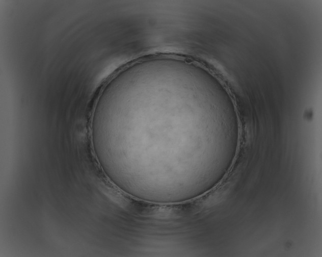 X0000093561266200710221415
