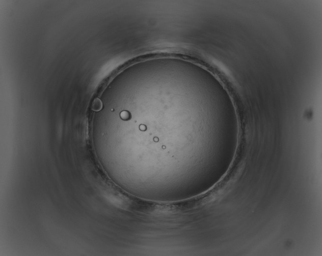 X0000093561267200710221415