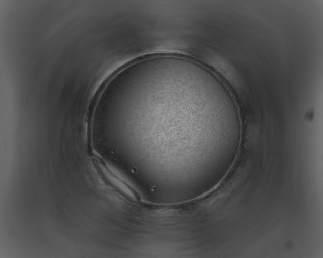X0000093561268200710221415