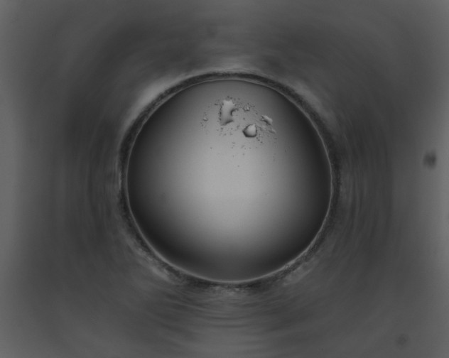 X0000093561270200710221415