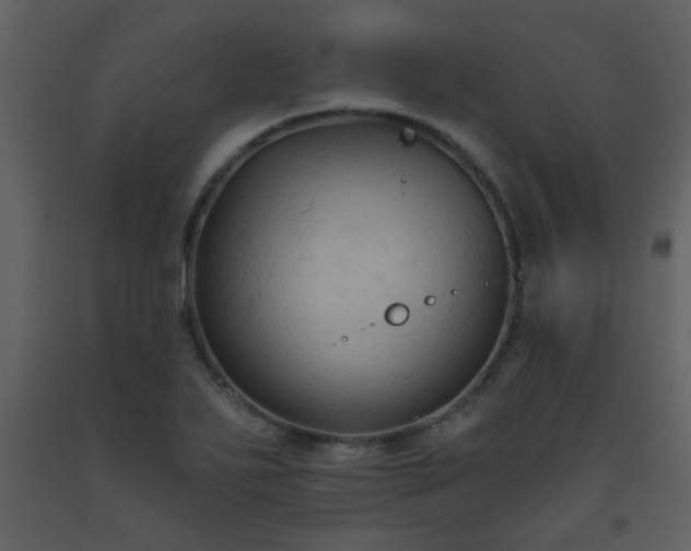X0000093561271200710221415