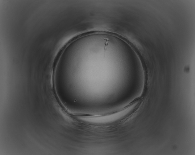 X0000093561272200710221415