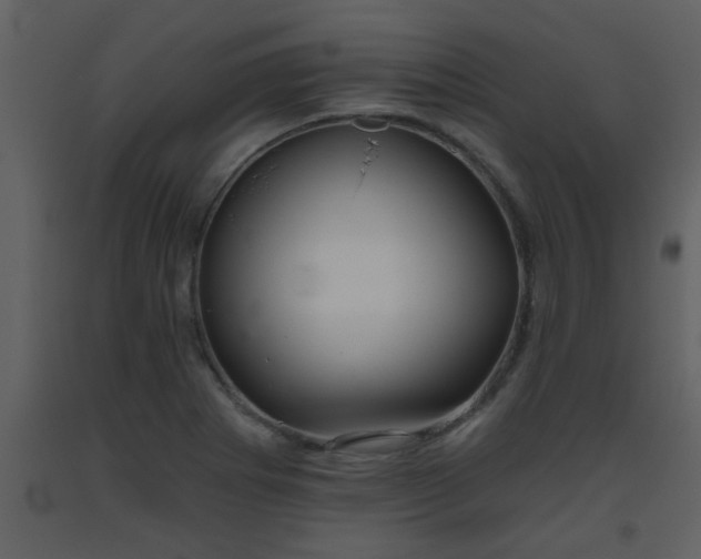 X0000093561273200710221415