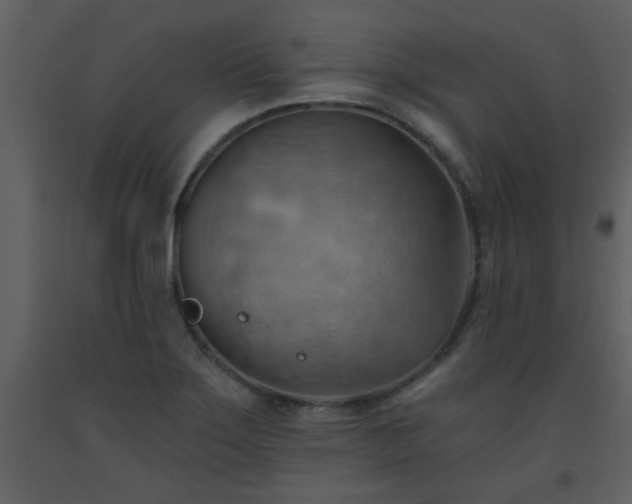 X0000093561275200710221415