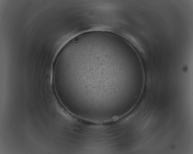 X0000093561276200710221415