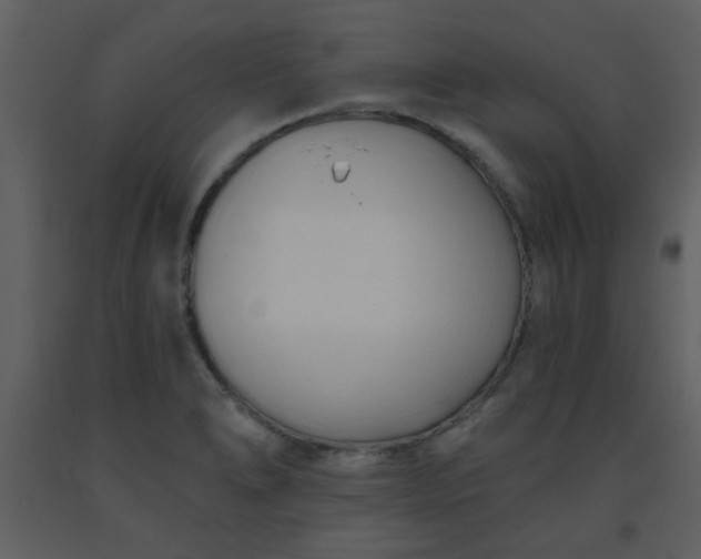 X0000093561278200710221415