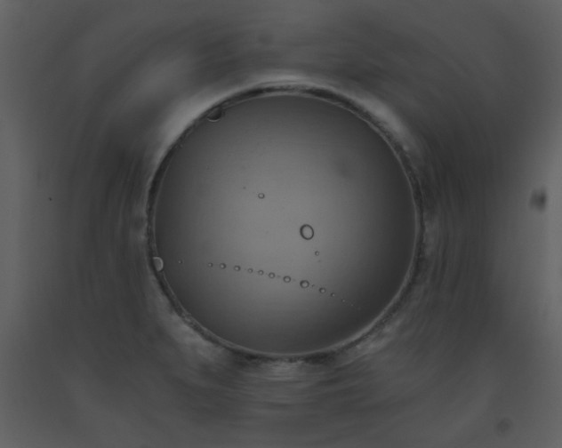 X0000093561279200710221415