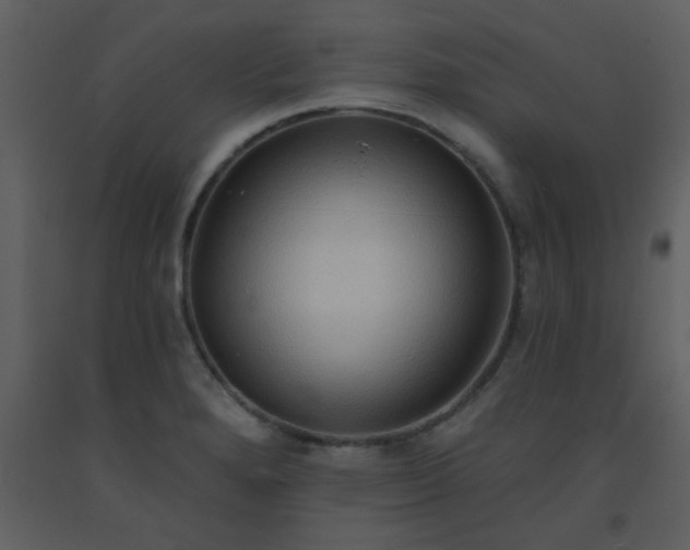X0000093561280200710221415