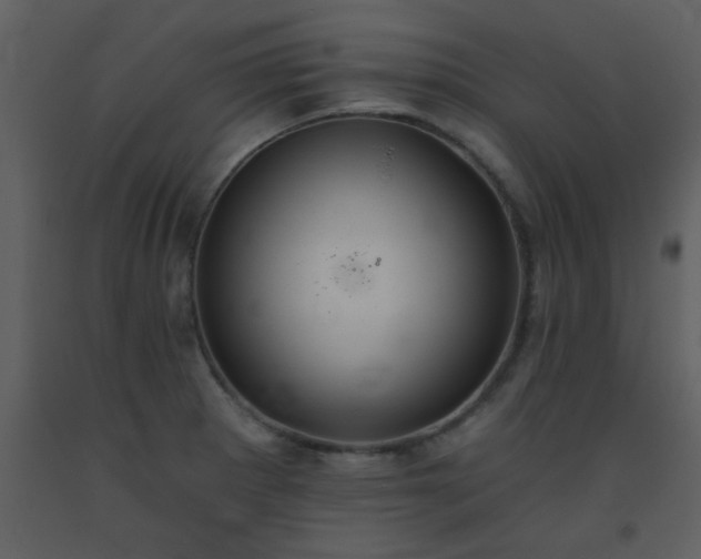 X0000093561281200710221415
