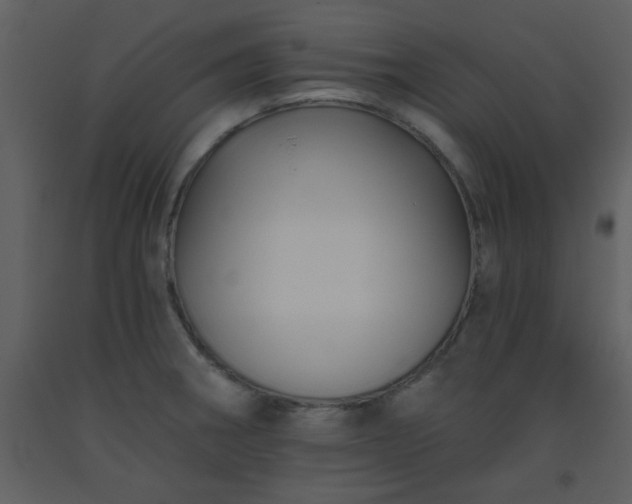 X0000093561282200710221415