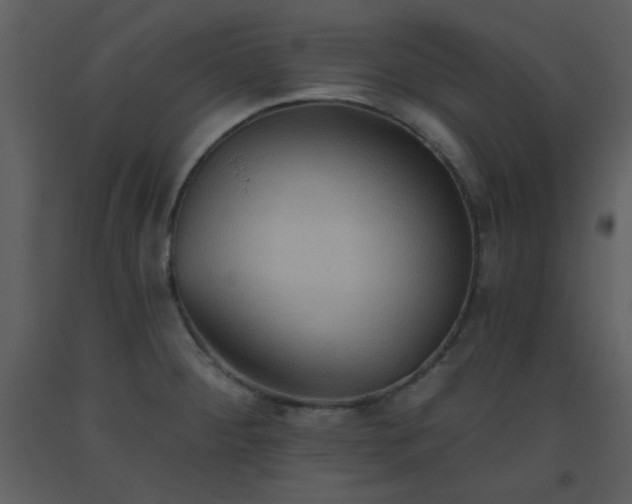 X0000093561284200710221415