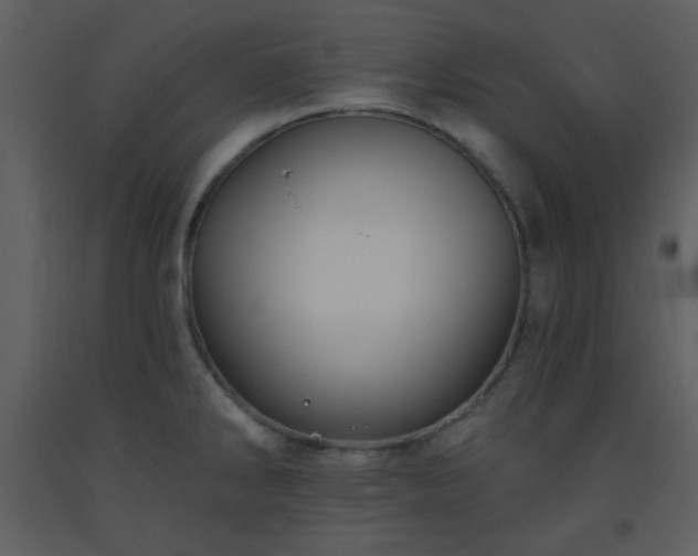 X0000093561286200710221415