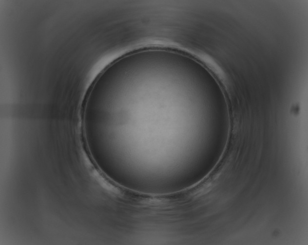 X0000093561287200710221415