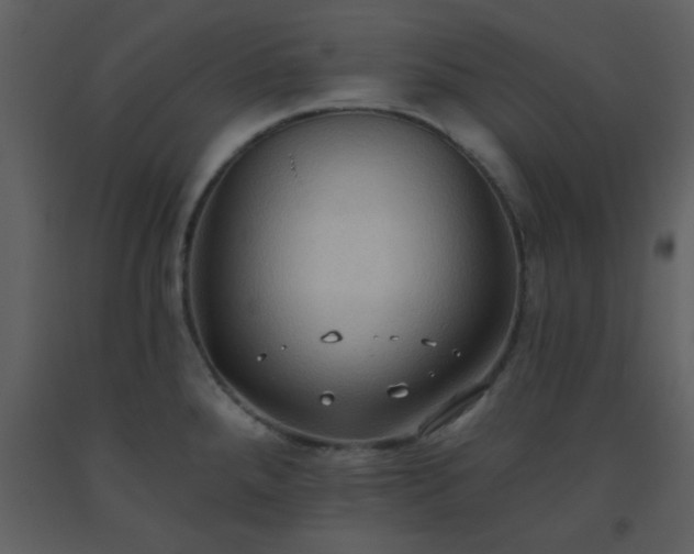 X0000093561288200710221415