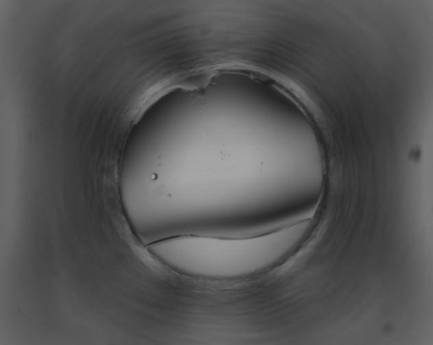 X0000093561289200710221415