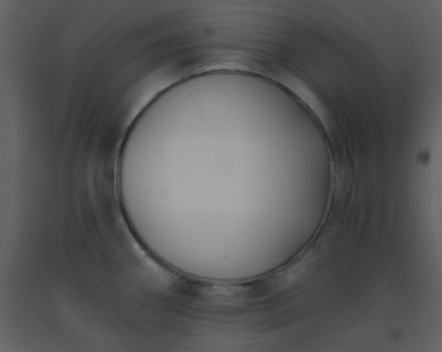 X0000093561290200710221415