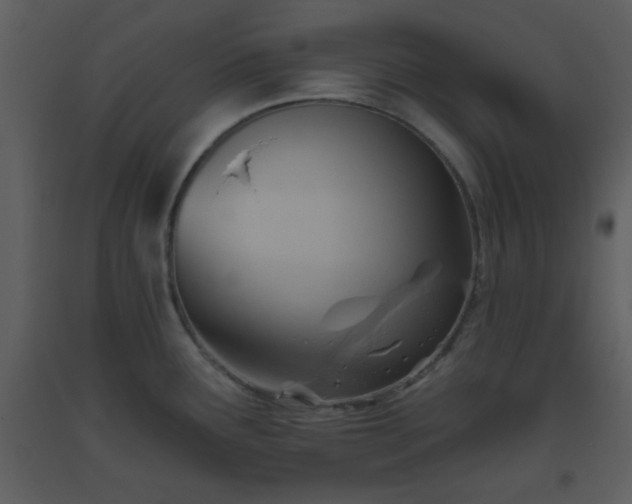 X0000093561291200710221415
