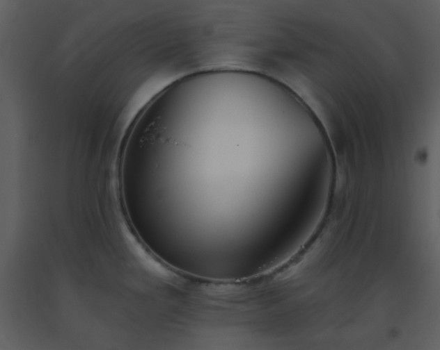 X0000093561293200710221415