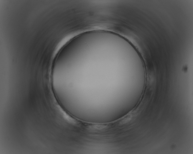 X0000093561294200710221415