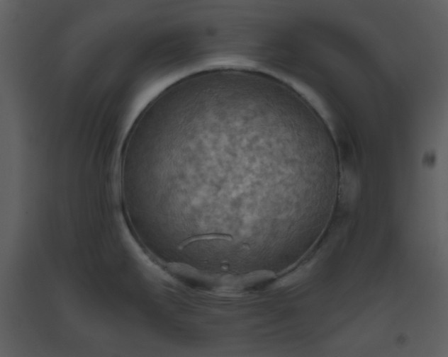 X0000093561295200710221415
