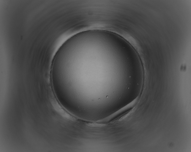 X0000093561296200710221415