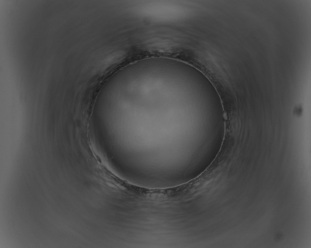 X0000093561297200710221414