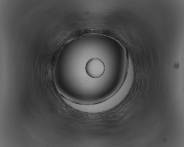 X0000093561298200710221414