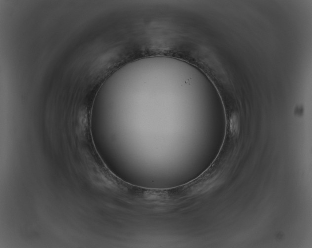 X0000093561299200710221414