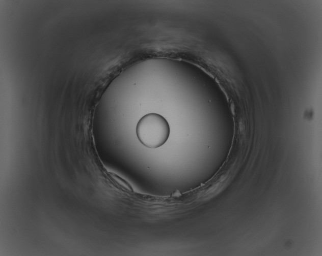 X0000093561300200710221414