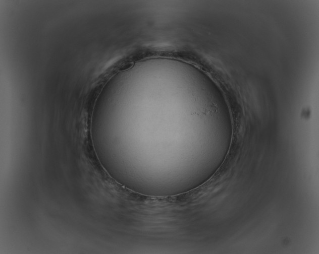 X0000093561301200710221414